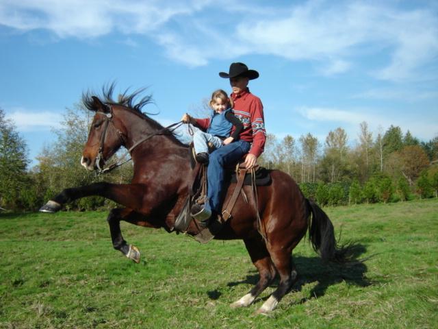 Horses Communicating